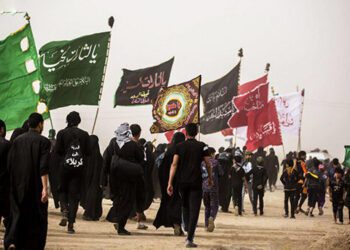 محمد حسین تقوایی زحمت کش یزد ، پیشگیری از بیماری گوارشی وبا