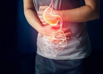 راهنمای جامع بیماری های گوارشی شایع در پیاده روی اربعین